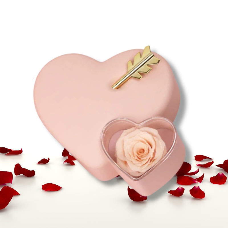 Freccia D'amor™ | Collana a doppio cuore custodita in un cofanetto elegante