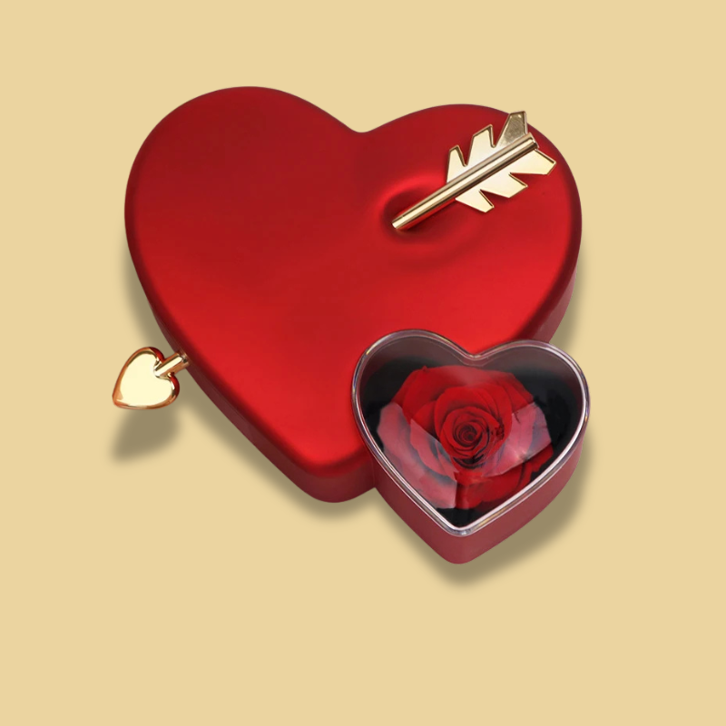 Collana Freccia D'amor ™ | Collana a doppio cuore custodita in un cofanetto elegante