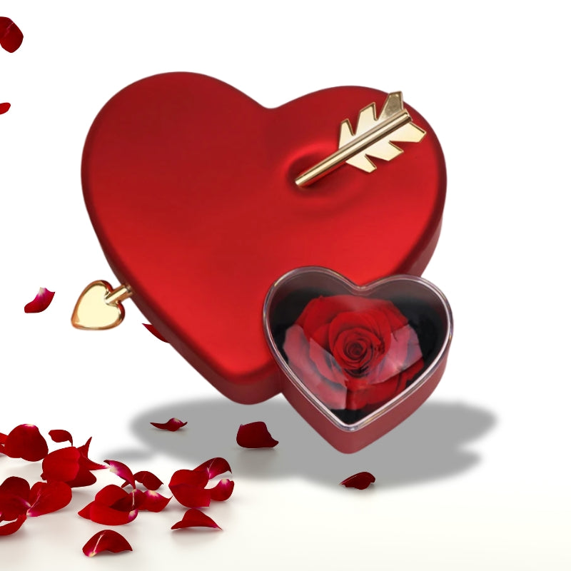 Freccia D'amor™ | Collana a doppio cuore custodita in un cofanetto elegante